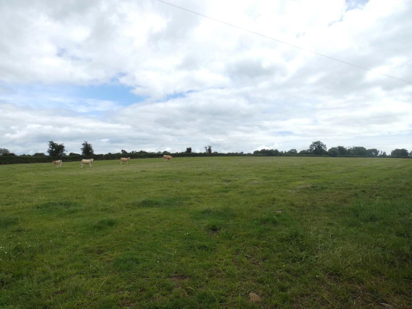 Circa 33 Acres Of Land At, 77 Vow Road 4 of 13