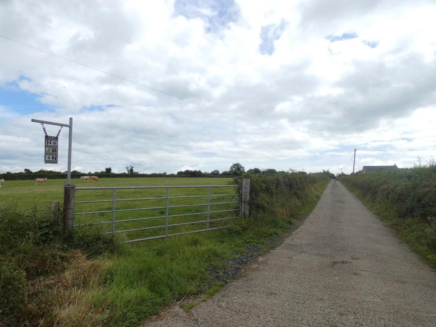 Circa 33 Acres Of Land At, 77 Vow Road 3 of 13