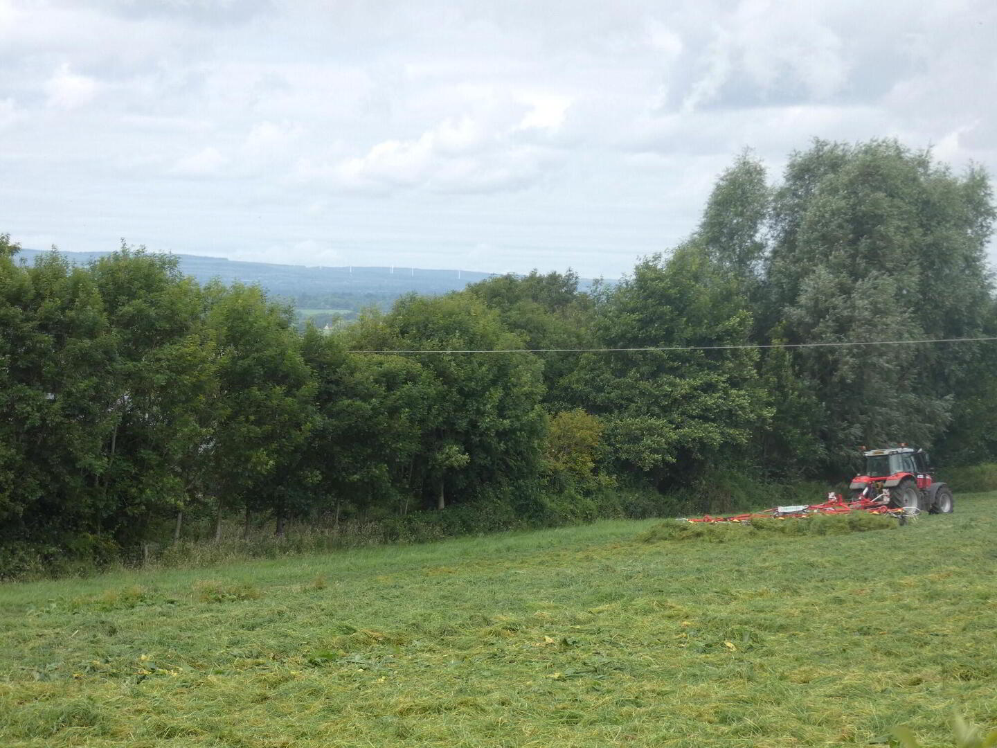 Circa 33 Acres Of Land At, 77 Vow Road 7 of 13