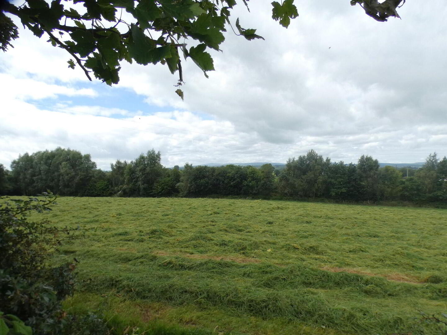 Circa 33 Acres Of Land At, 77 Vow Road 9 of 13