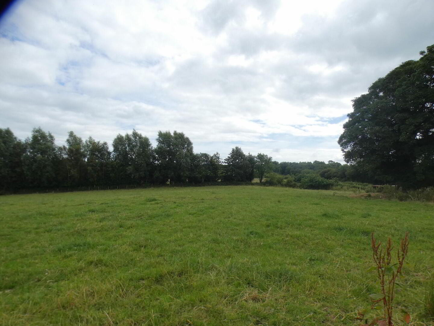 Circa 33 Acres Of Land At, 77 Vow Road 10 of 13