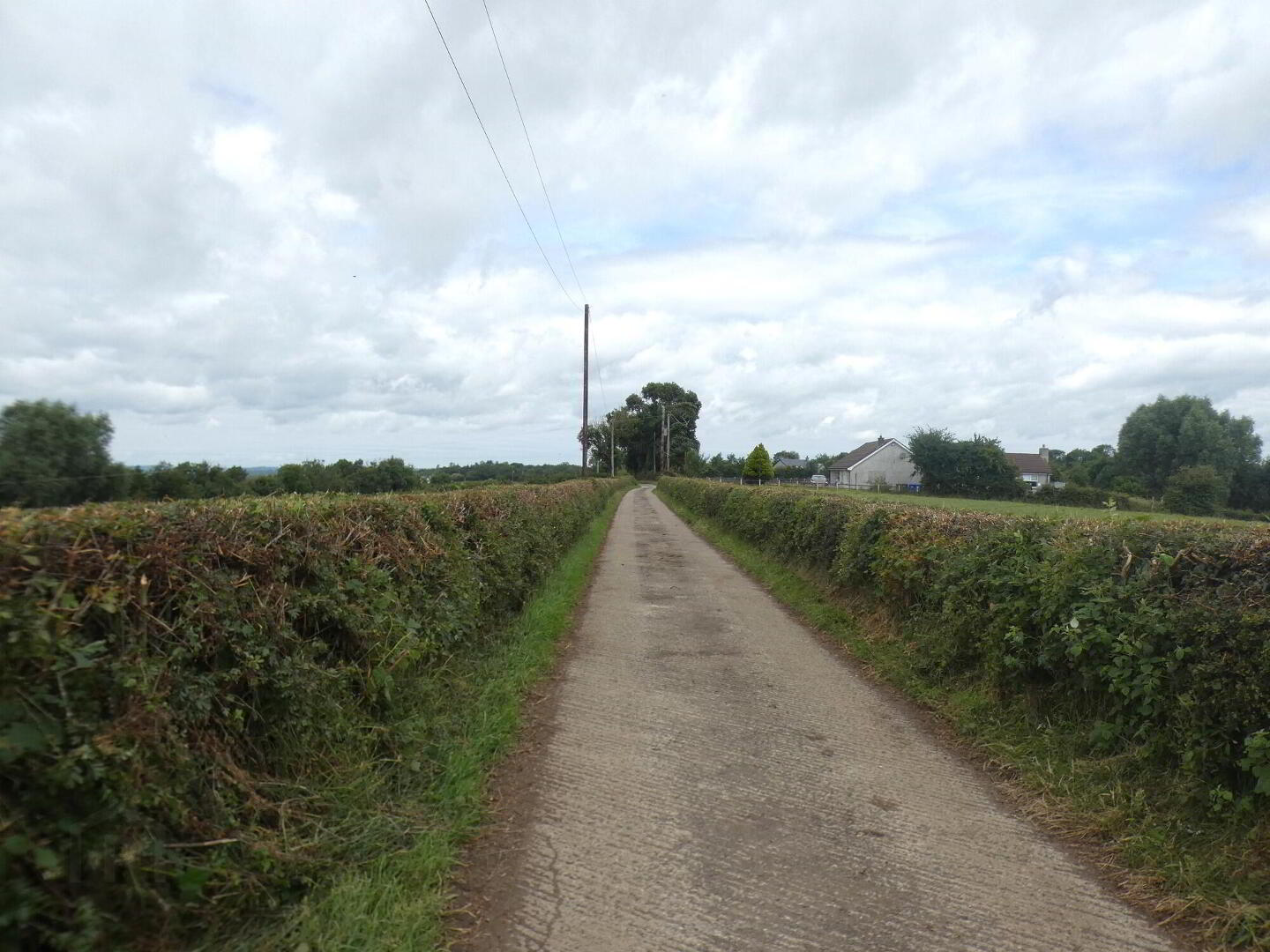Circa 33 Acres Of Land At, 77 Vow Road 12 of 13