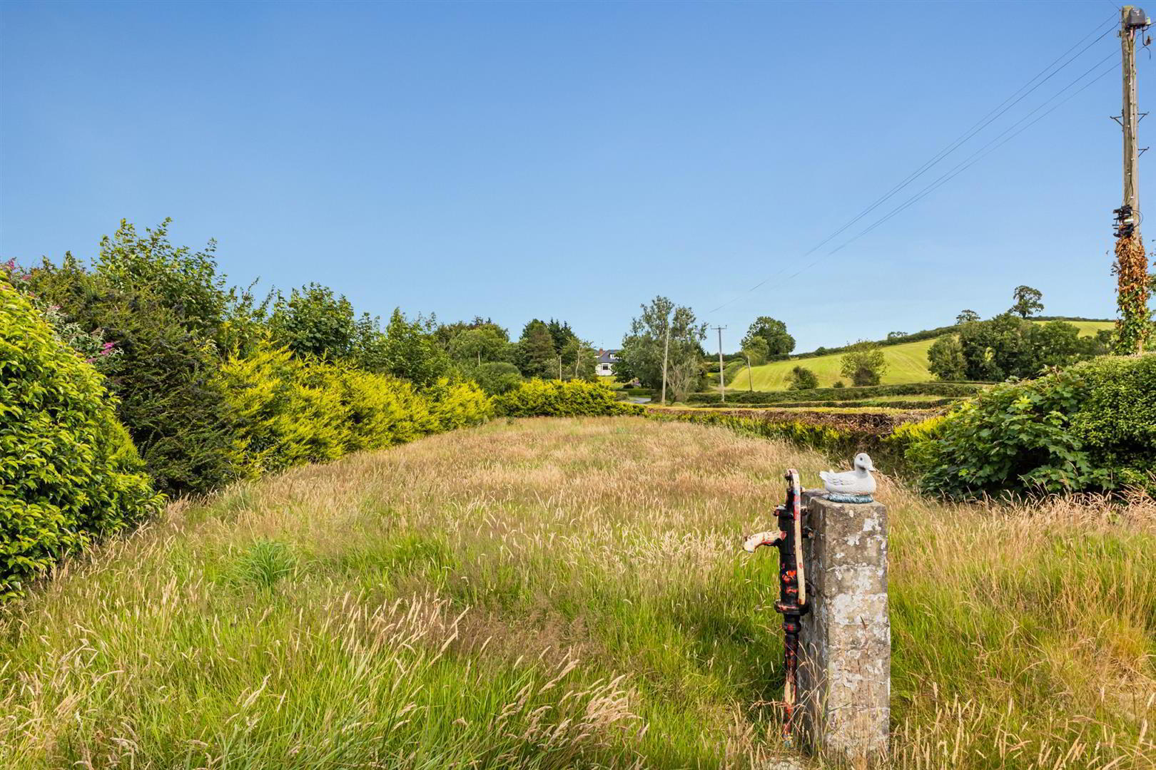 Delightful Country Cottage And 7.76 Acres, 61 Derryboy Road 3 of 6