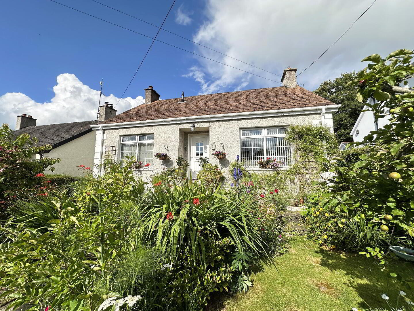 26 Ashley Gardens 1 of 31