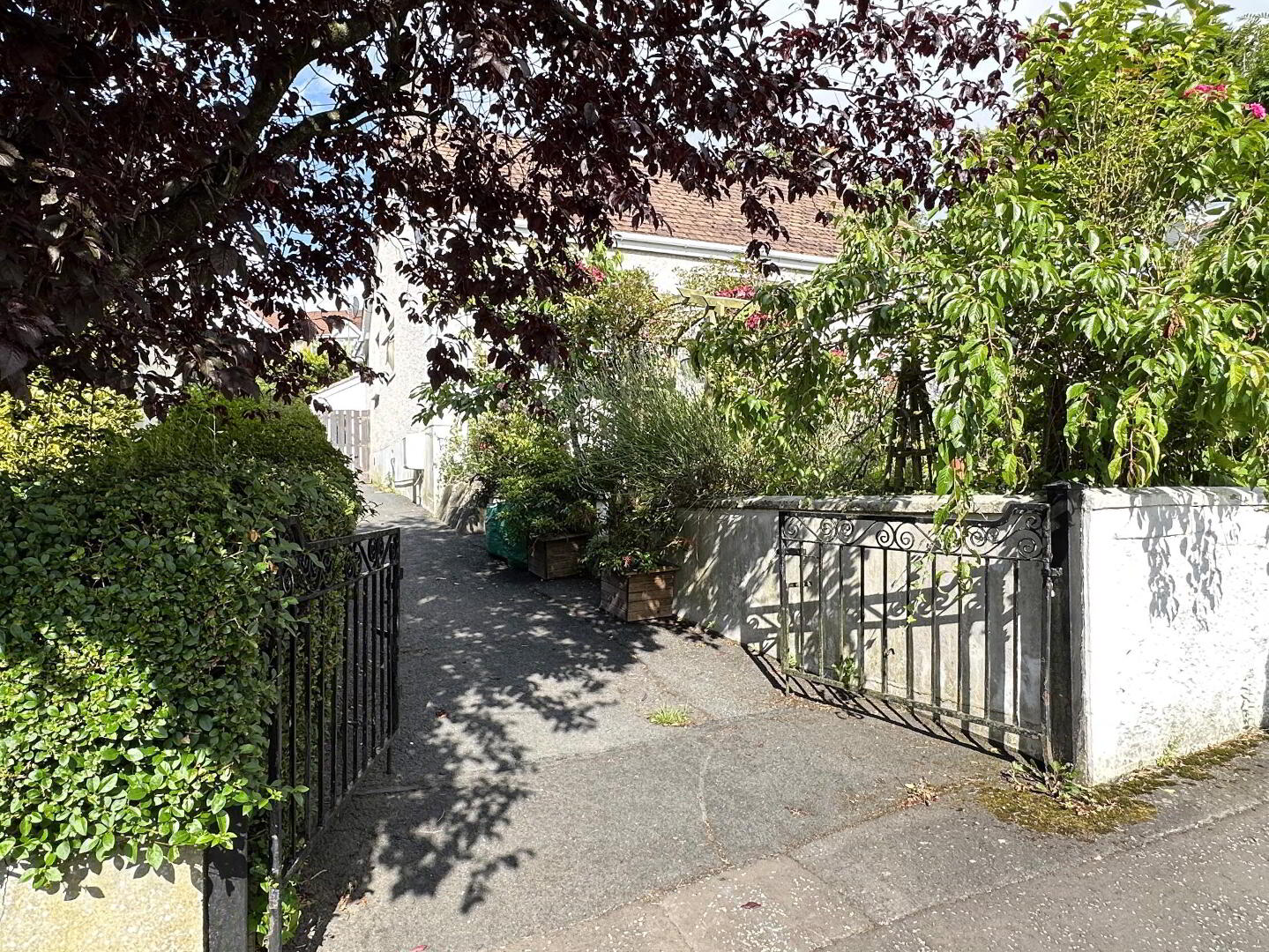 26 Ashley Gardens 31 of 31