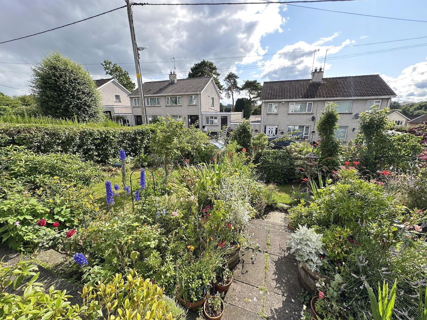 26 Ashley Gardens 30 of 31