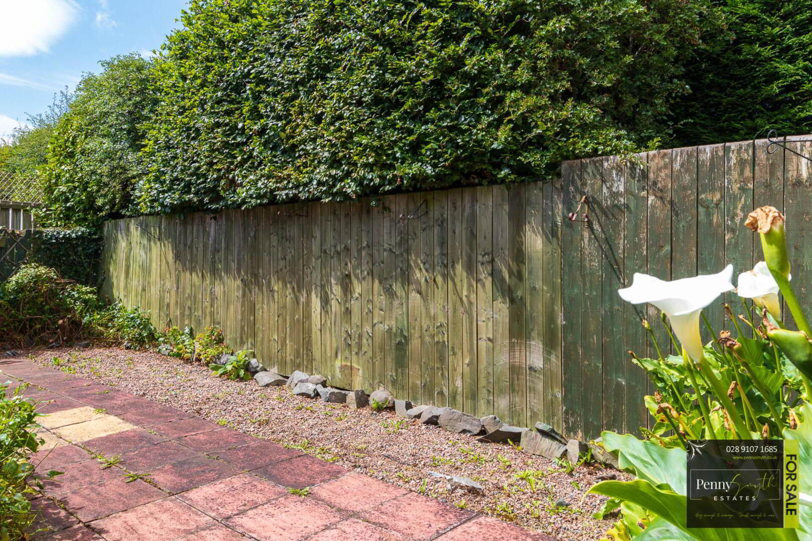 16 Albany Road 36 of 36
