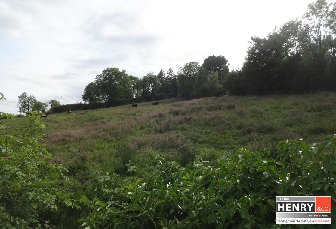 Bockets & Ballynahaye Road 5 of 7
