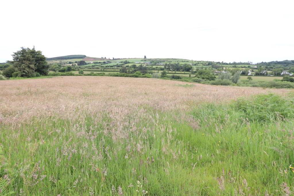 13.3 Acre Roadside Holding Ardrahin 2 of 7