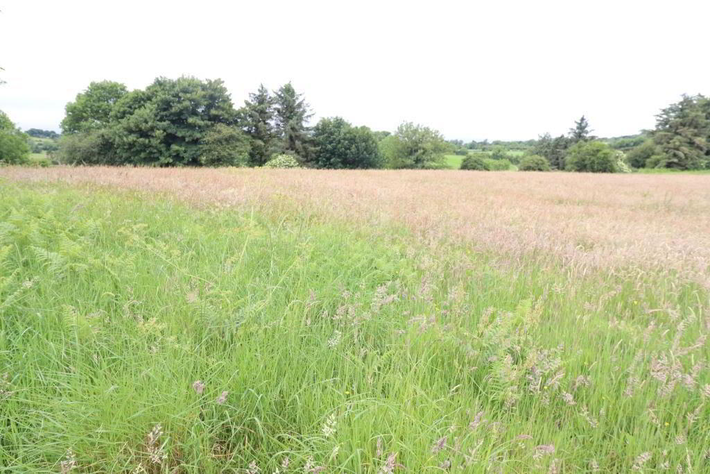 13.3 Acre Roadside Holding Ardrahin 3 of 7
