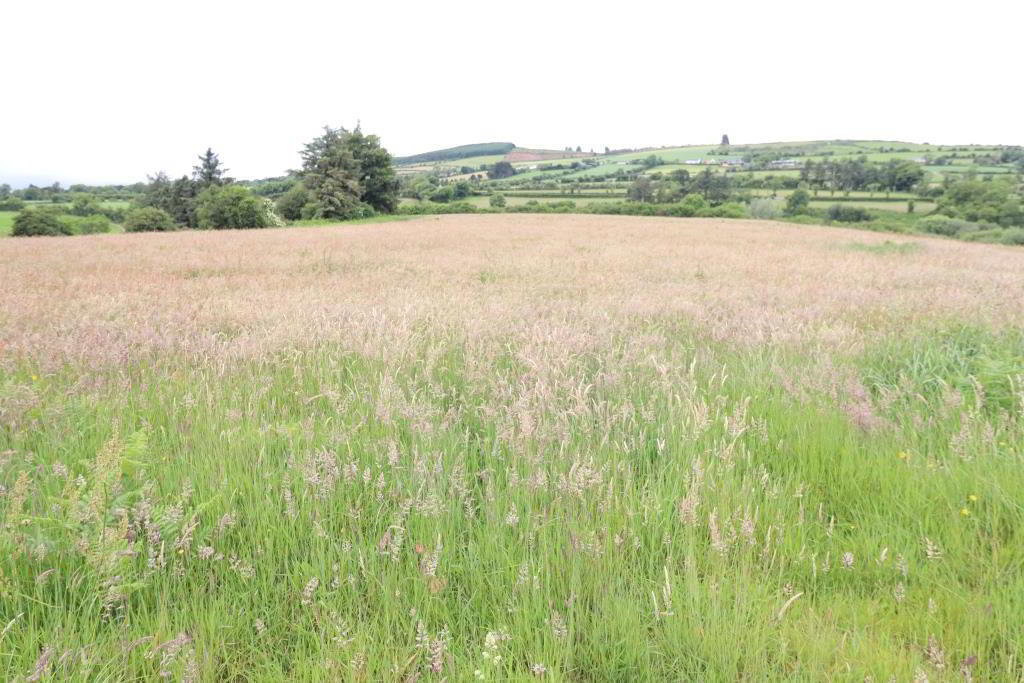 13.3 Acre Roadside Holding Ardrahin 5 of 7