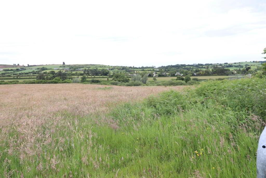 13.3 Acre Roadside Holding Ardrahin 4 of 7