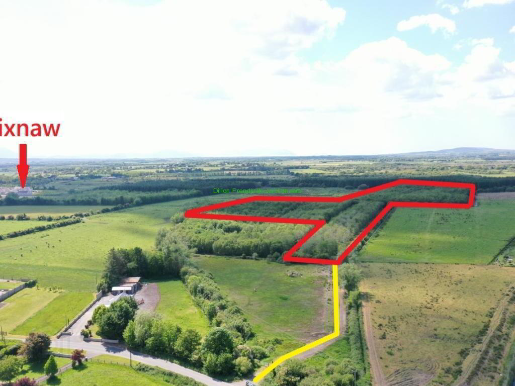 19.7 Acres, Forestry Plantation 1 of 5