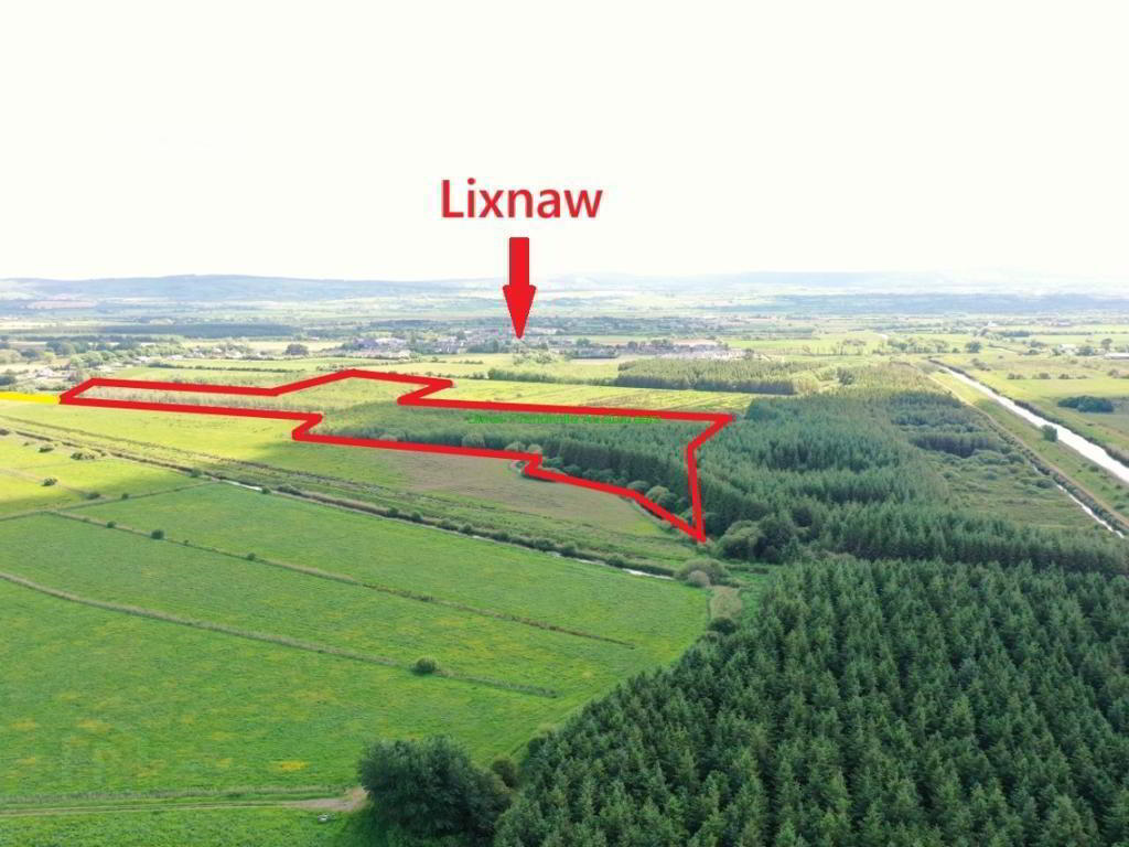 19.7 Acres, Forestry Plantation 3 of 5