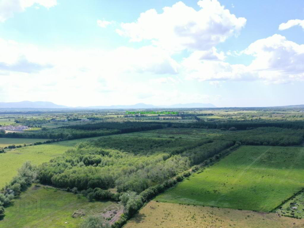 19.7 Acres, Forestry Plantation 4 of 5