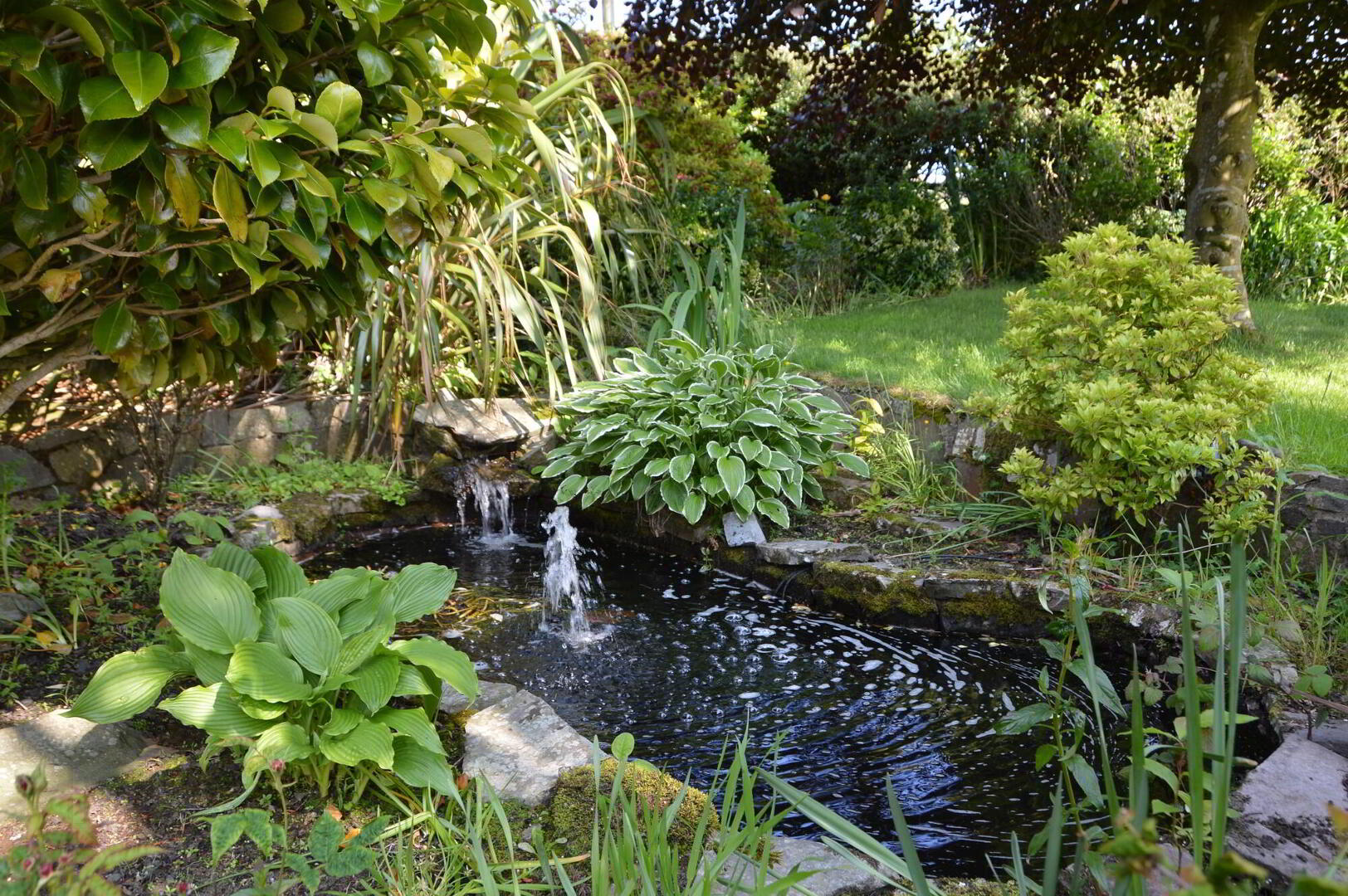 Burnside, 37 Dickeystown Road 13 of 16