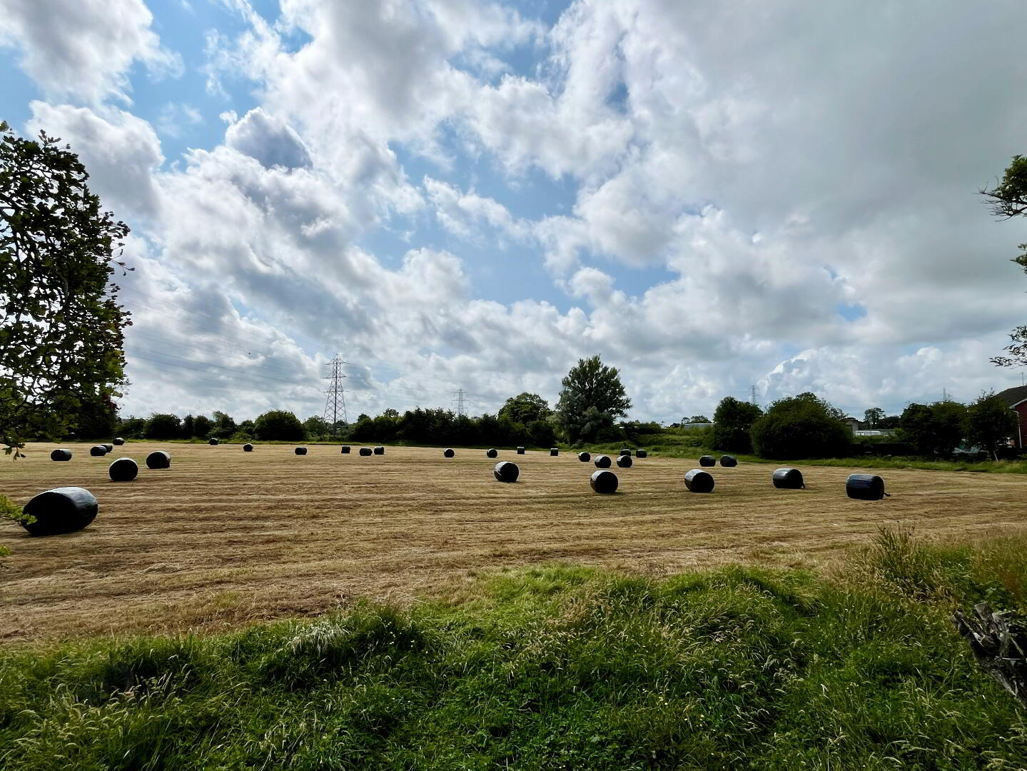 17 Knocknashane Meadows 31 of 31