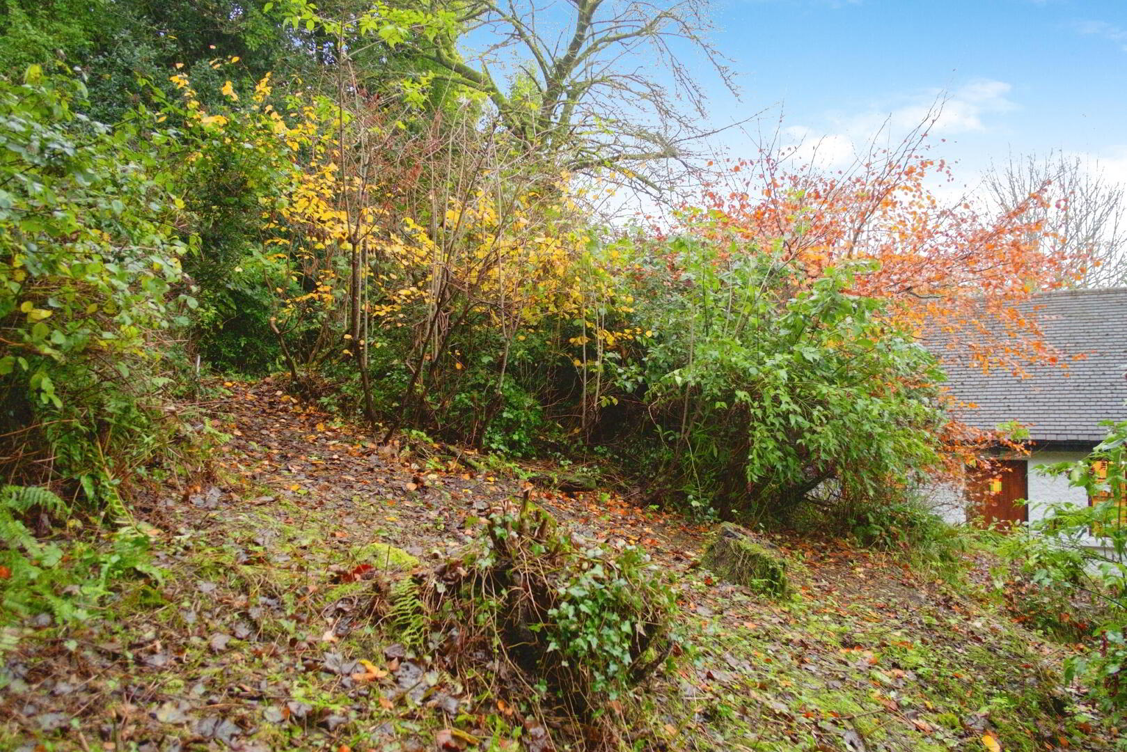 Hazelwood Cottage 40 of 44
