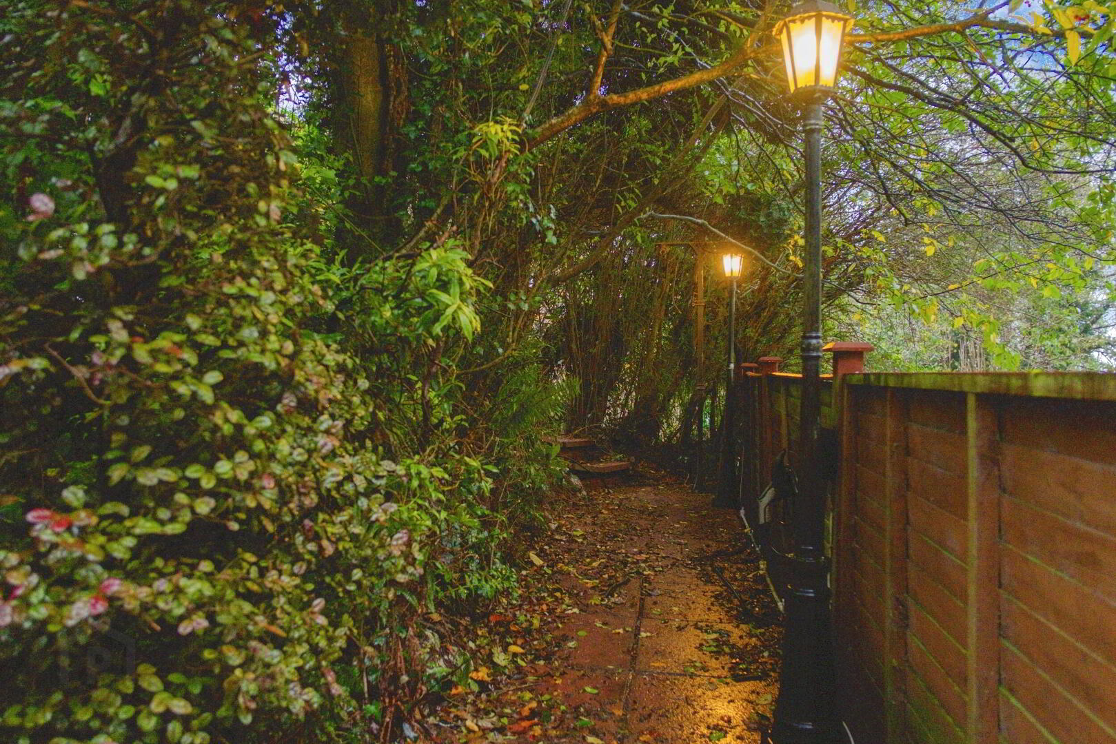 Hazelwood Cottage 38 of 44