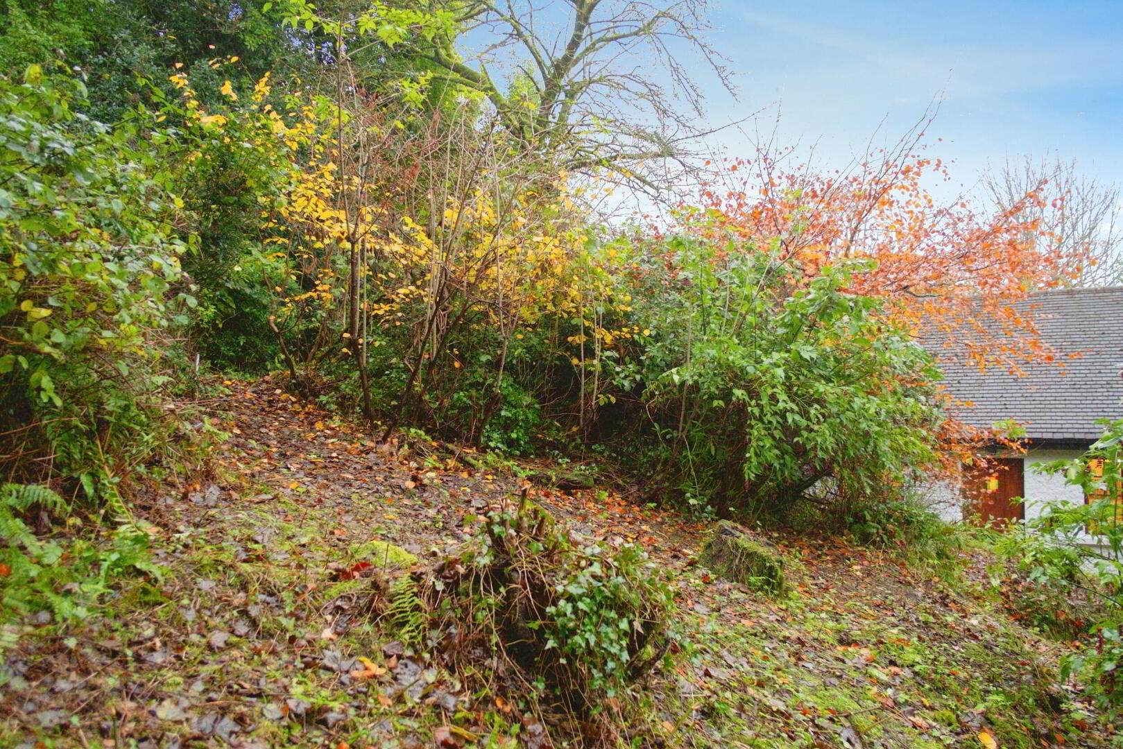 Hazelwood Cottage 39 of 44