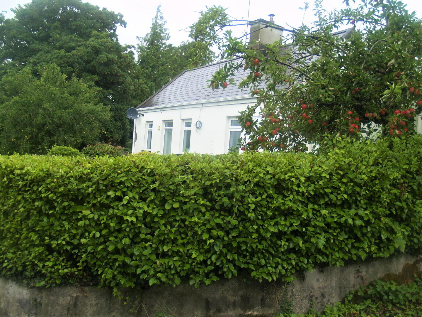 Clifton Cottage 39 of 40