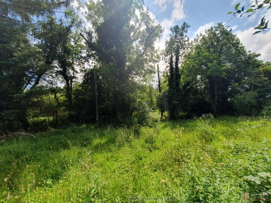 Drumaragh 9 of 11