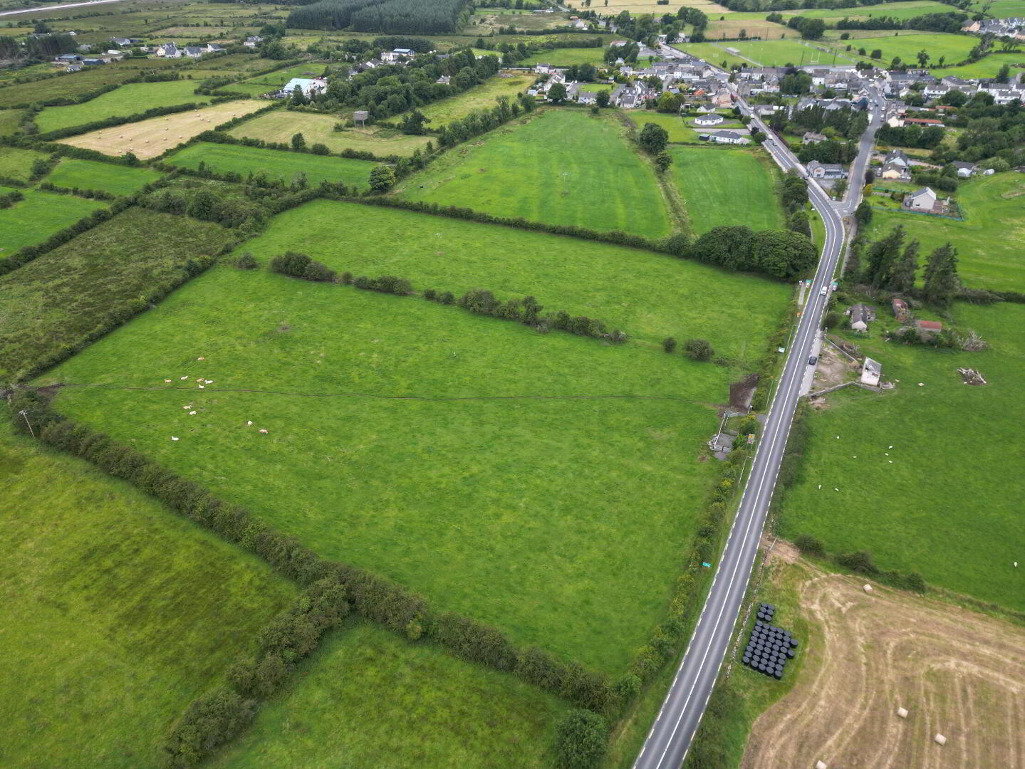 Corskeagh 4 of 11
