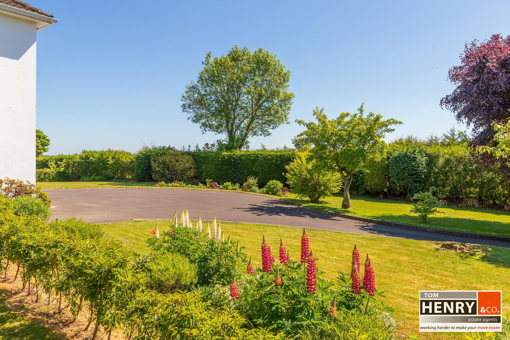 47 Killymeal Road 15 of 17