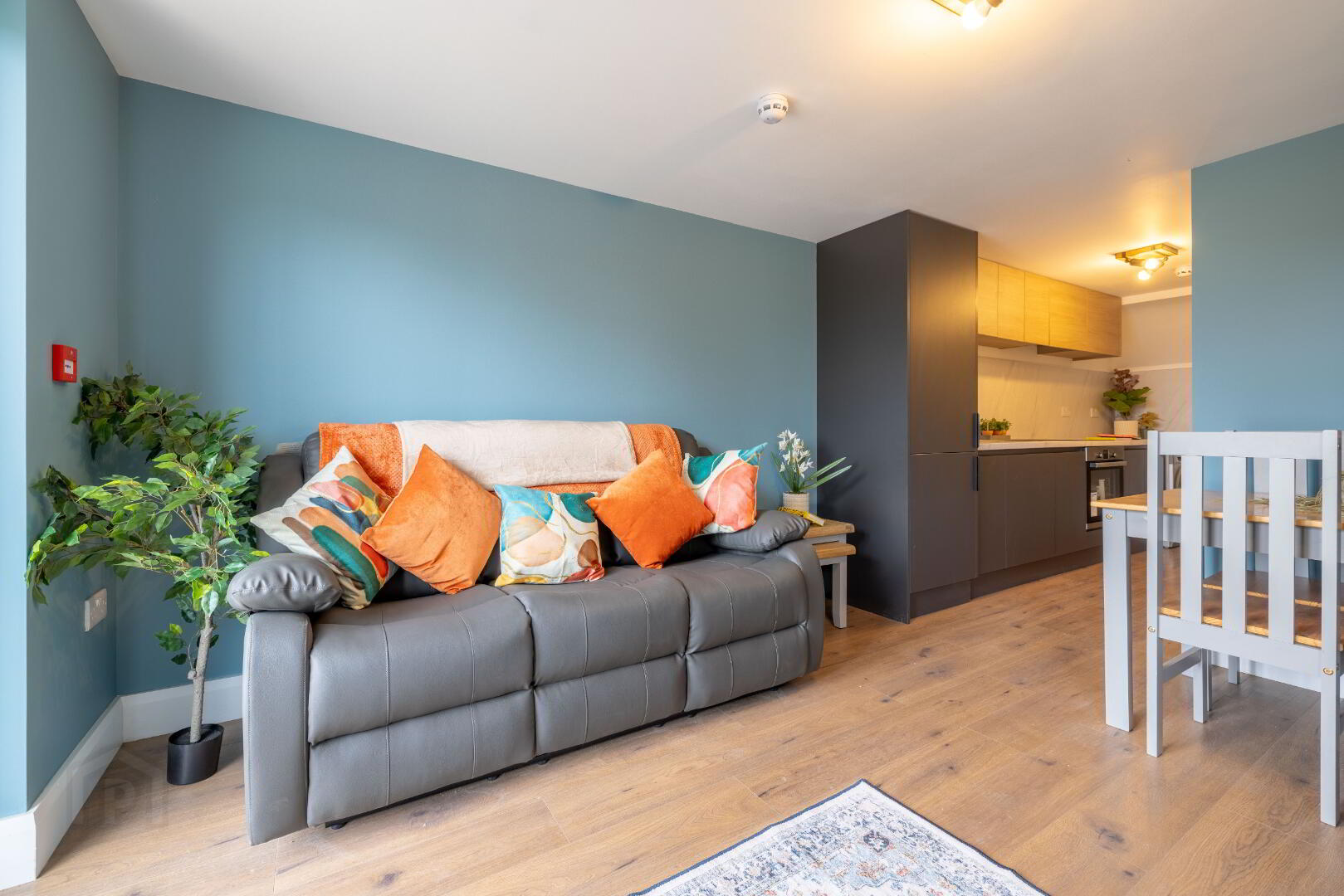 B, 58 Dufferin Avenue 16 of 17
