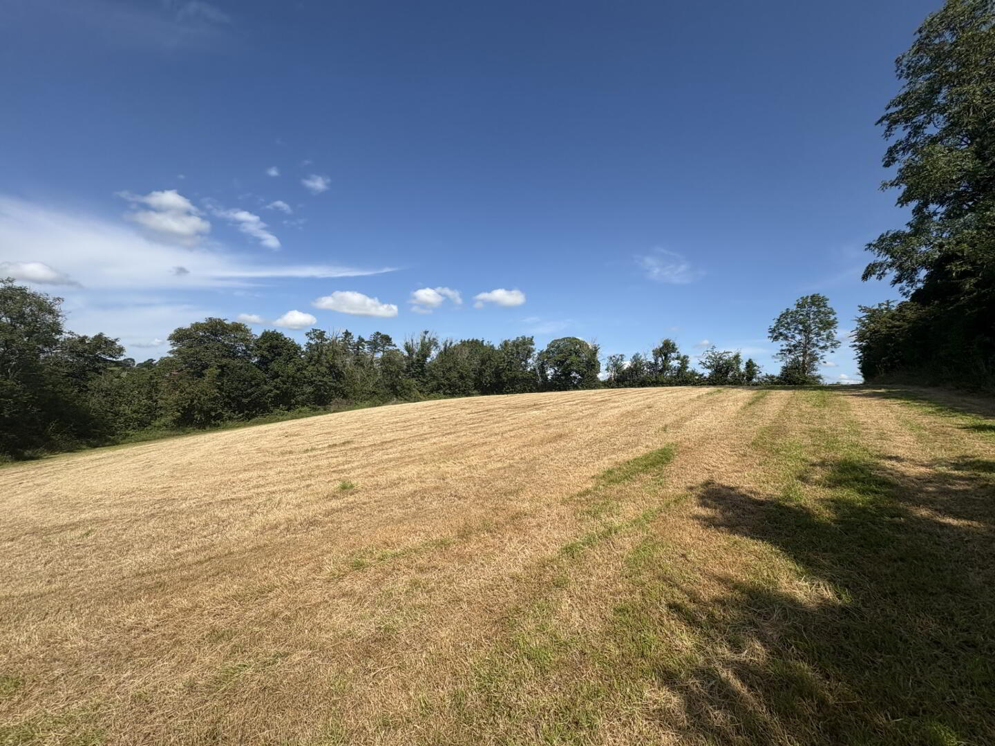 property description image