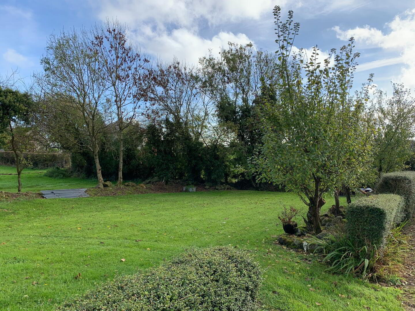 92 Edenbane Road 13 of 67