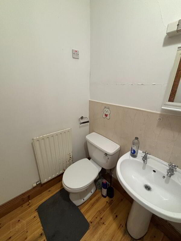 Apartment 3 87 Eglantine Avenue 8 of 8