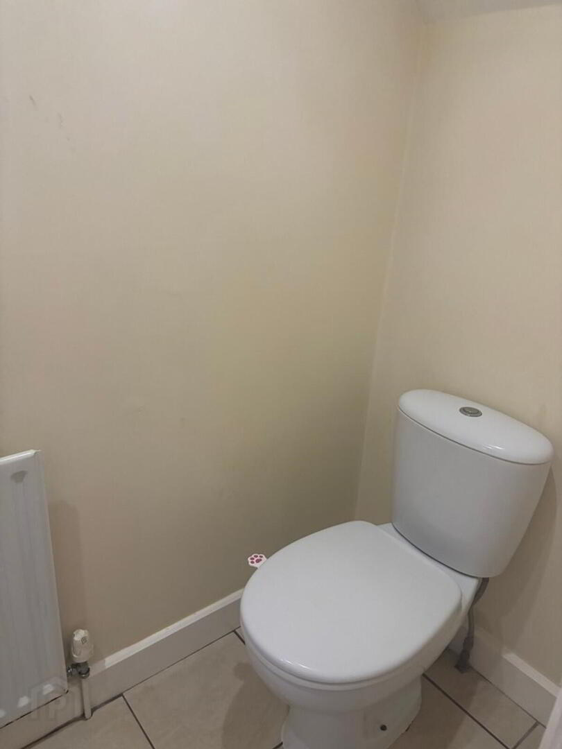 21 Irish Society Court 8 of 15