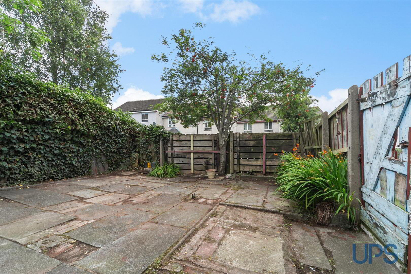 45 Summerhill Drive 19 of 24