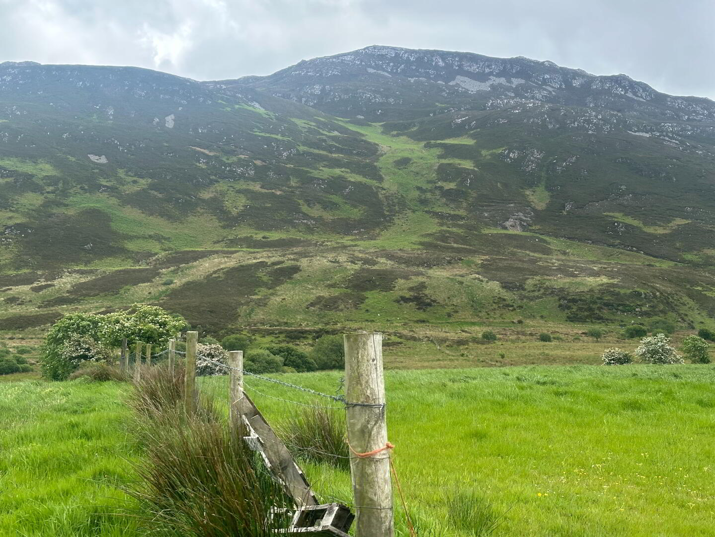 Drumfad Upper 3 of 21