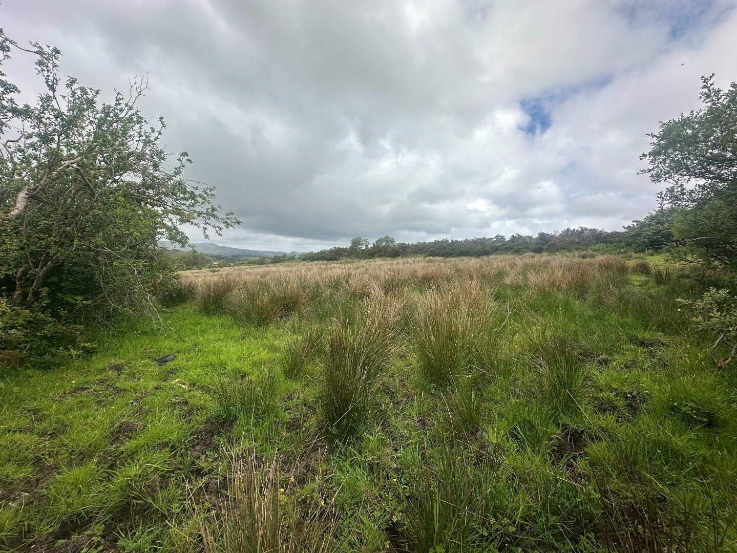 Drumfad Upper 10 of 21