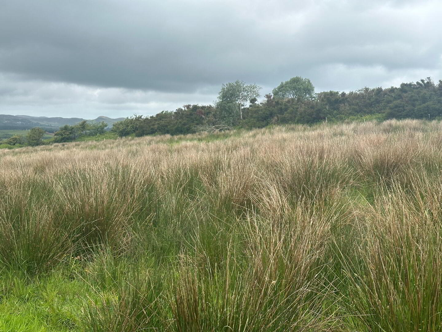 Drumfad Upper 11 of 21