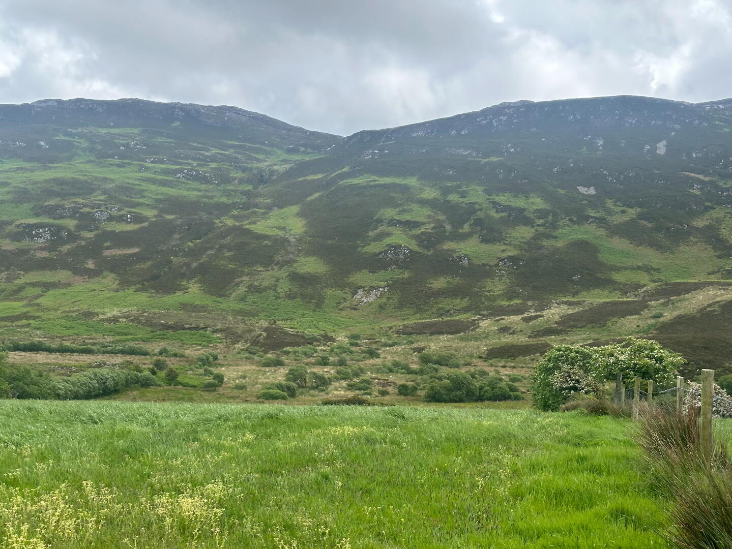 Drumfad Upper 12 of 21