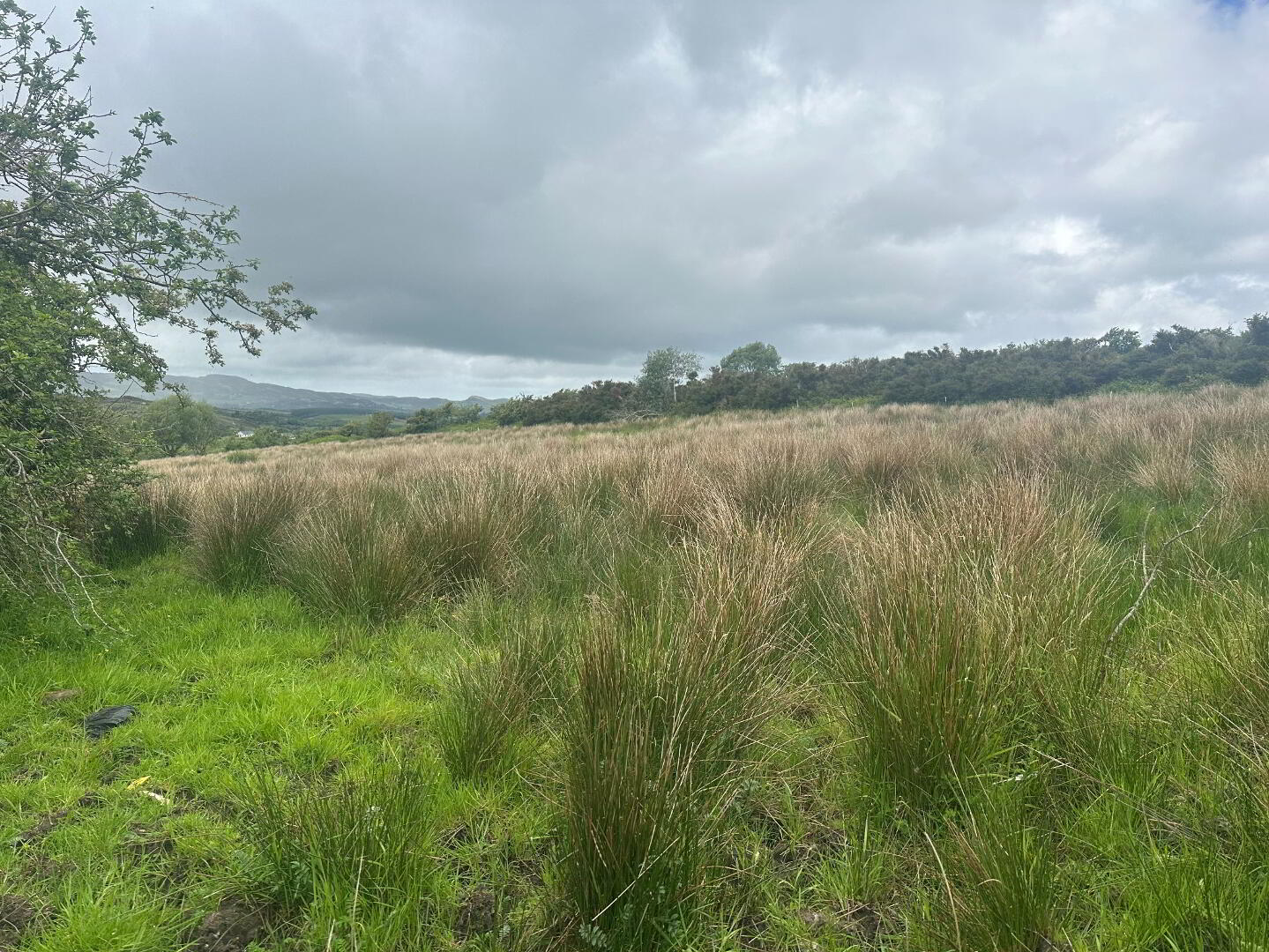 Drumfad Upper 13 of 21