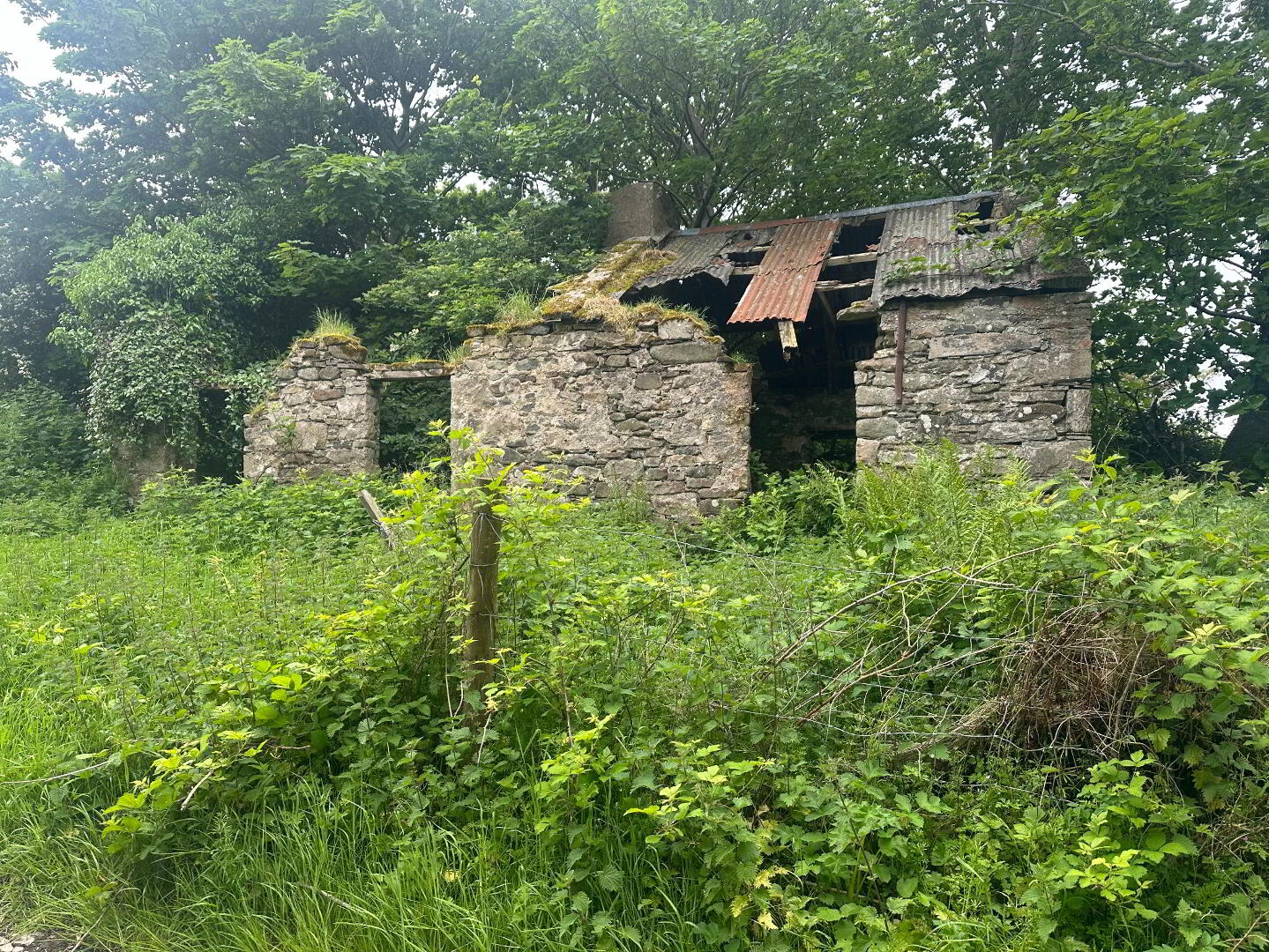 property description image