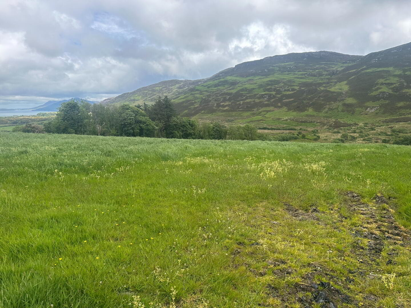 Drumfad Upper 15 of 21
