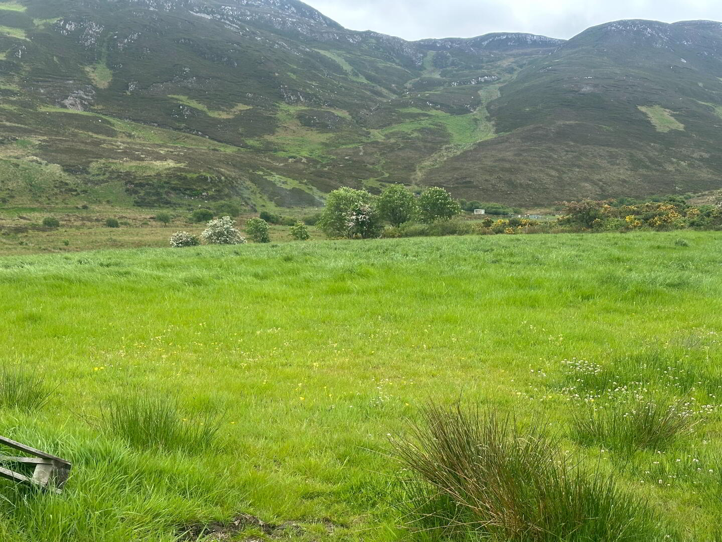Drumfad Upper 16 of 21