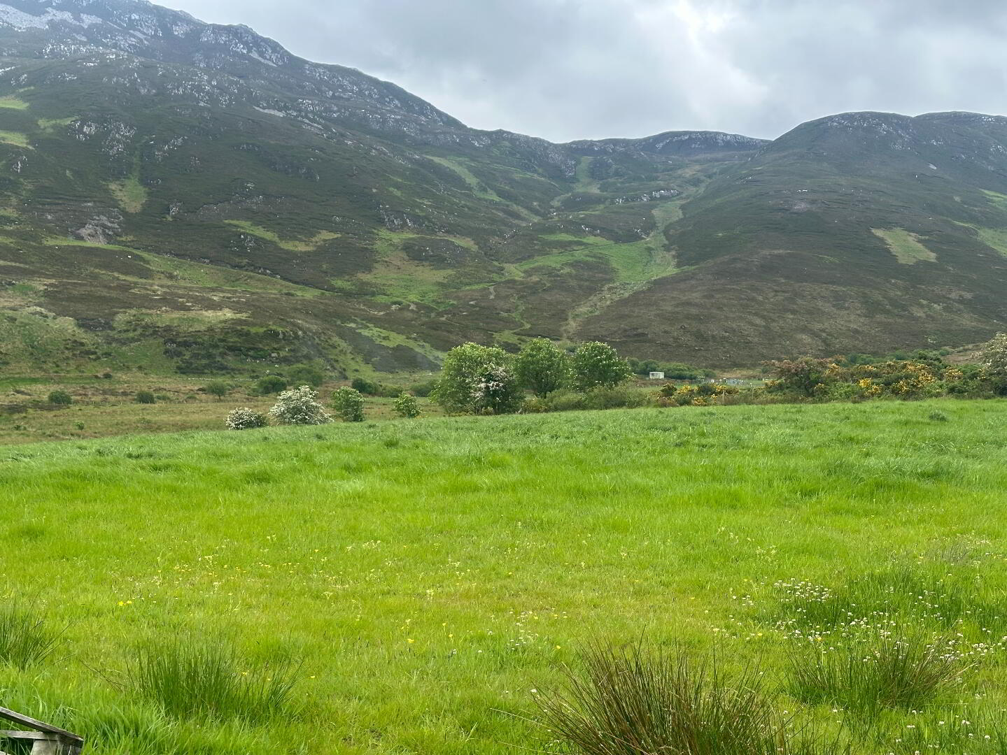 Drumfad Upper 17 of 21