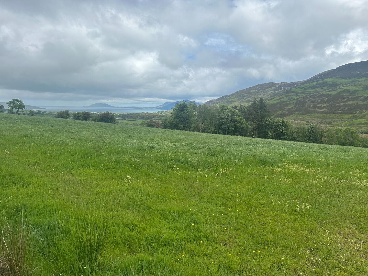 Drumfad Upper 19 of 21