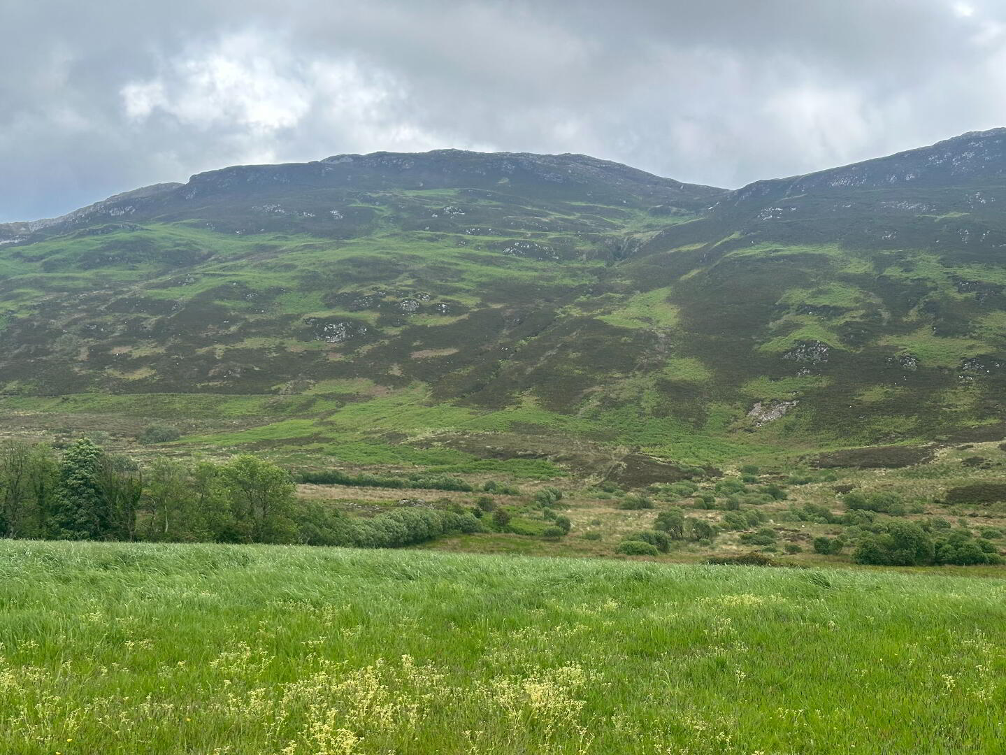 Drumfad Upper 20 of 21