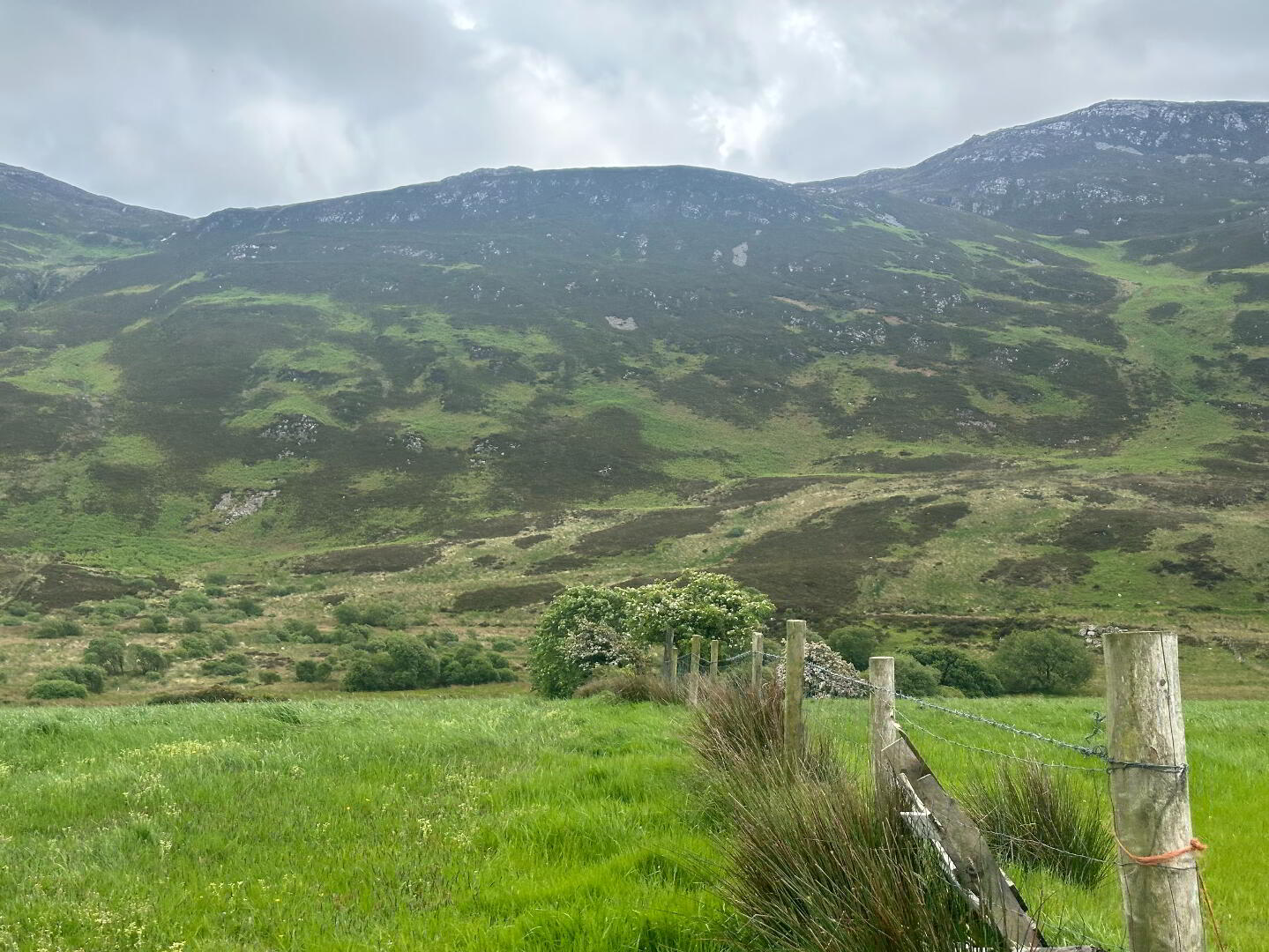 Drumfad Upper 21 of 21