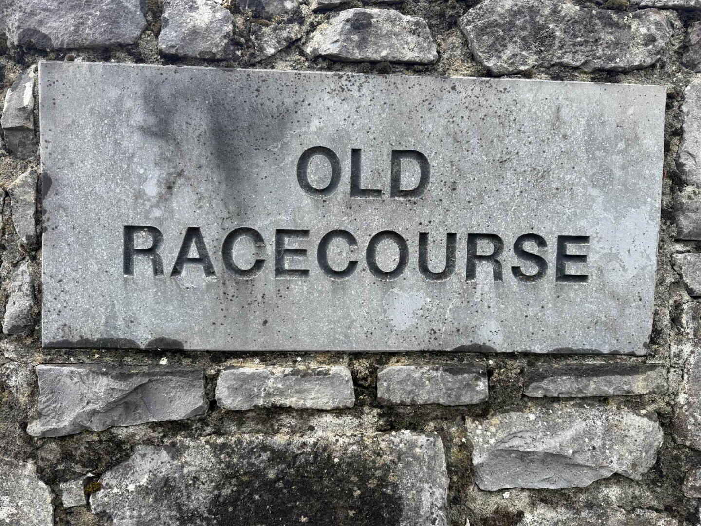7 The Old Racecourse 21 of 29