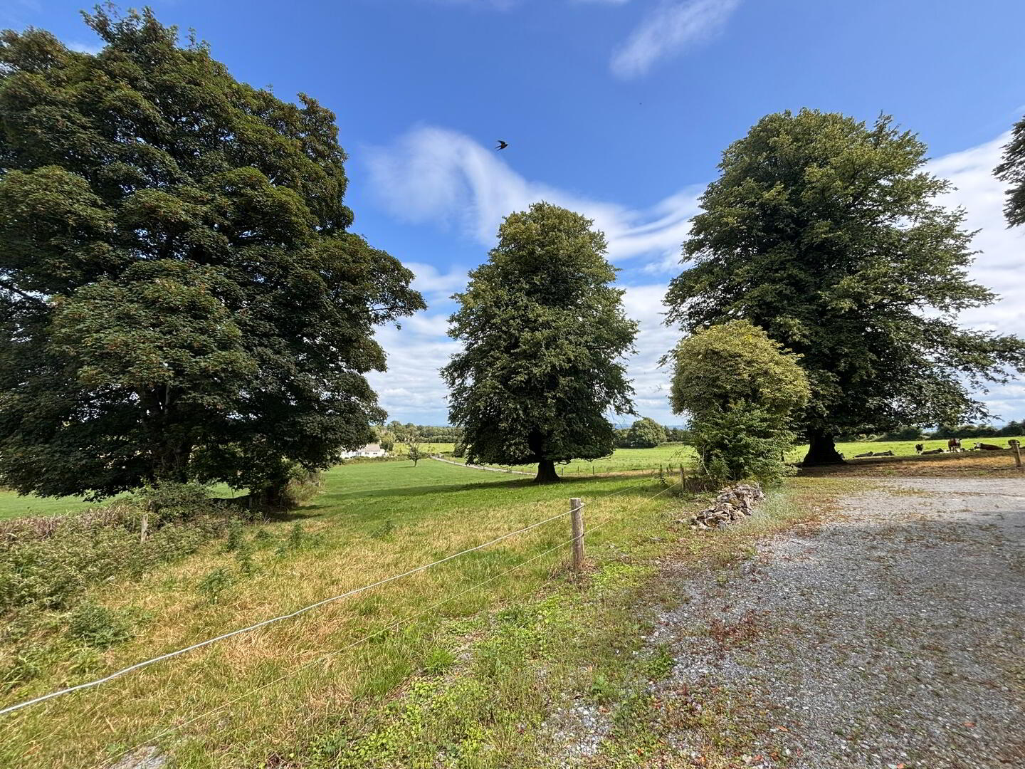 Glenville, Ballydonnell 25 of 44
