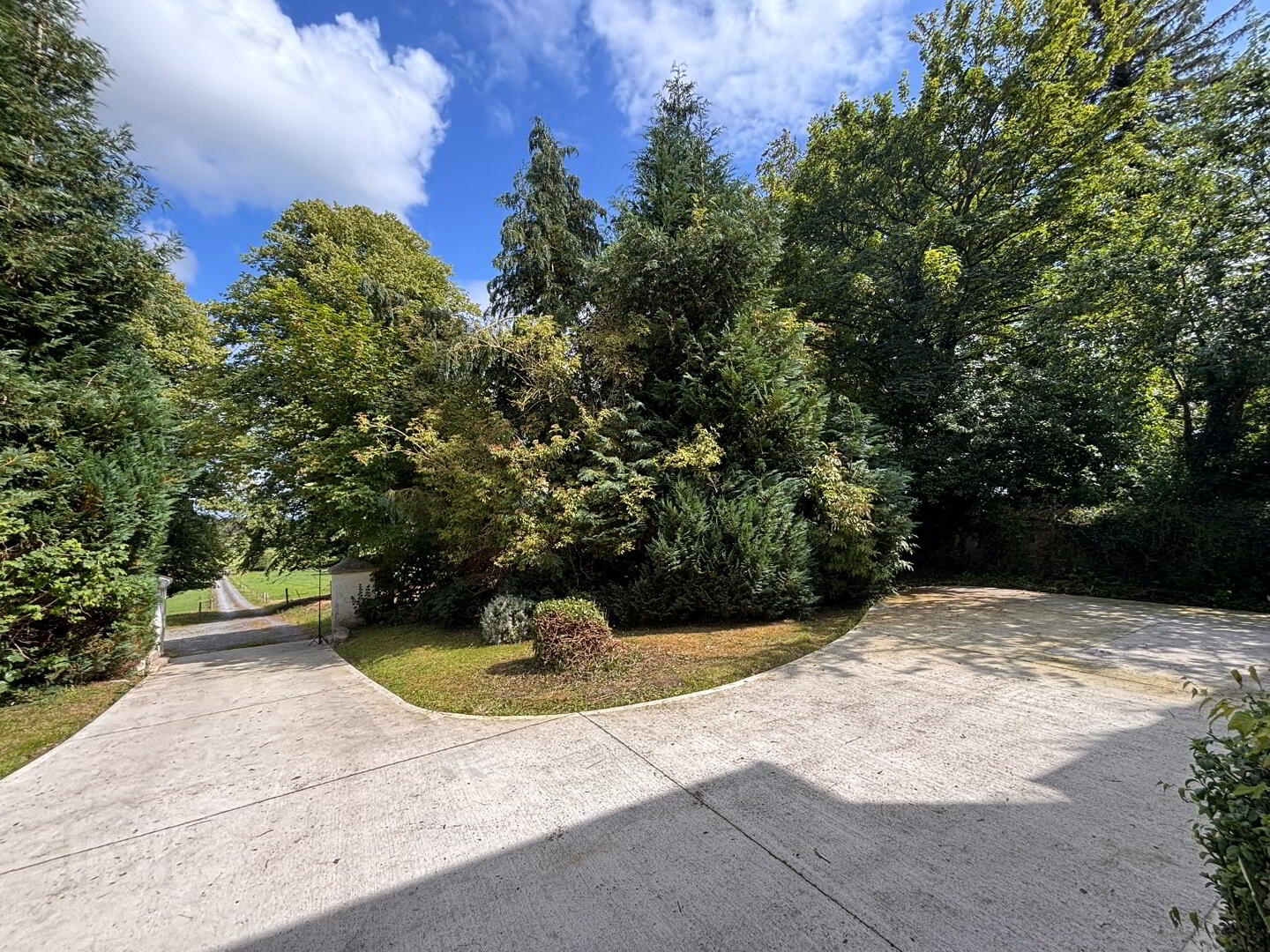 Glenville, Ballydonnell 43 of 44