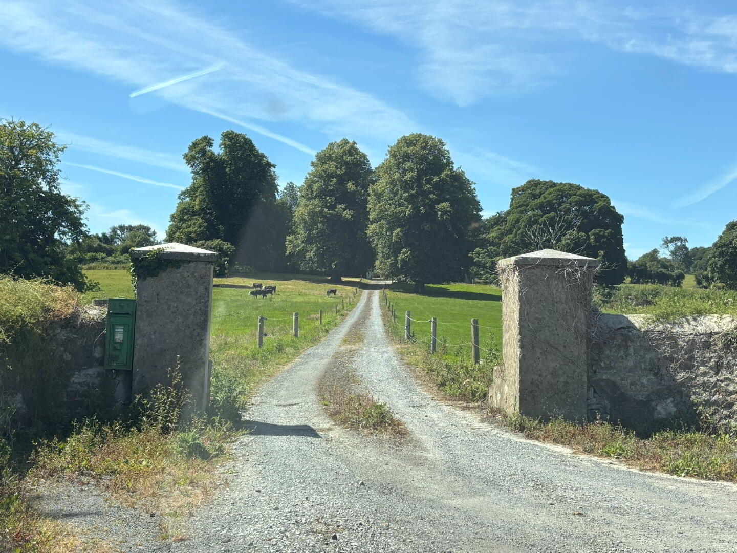 Glenville, Ballydonnell 44 of 44
